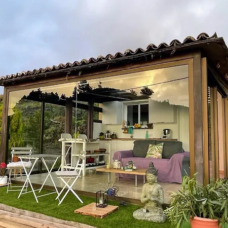 Starlust House - Largas Temporadas
